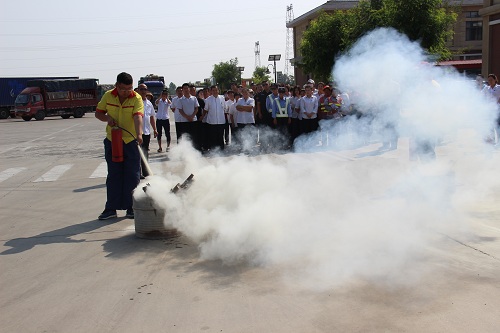 IMG_1419.JPG IMG_1419.JPG