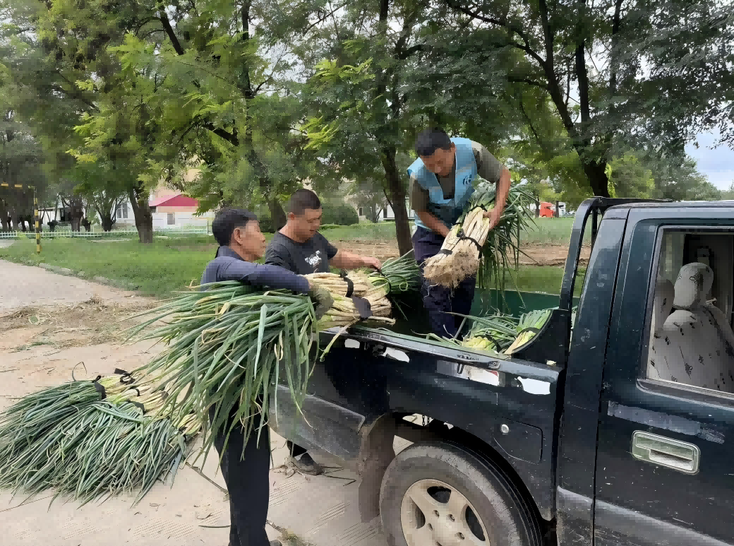 C:\Users\Lenovo\Desktop\圖片1(1).png C:\Users\Lenovo\Desktop\圖片1(1).png